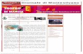 01 18-2013 il-giornaledimontesilvano - finanziamenti a fondo perduto per imprese