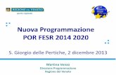 Venzo   programmazione 2014-2020 veneto