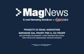 MagNews - Progetti di Email Marketing per il No Profit - Festival del Fundraising 2011