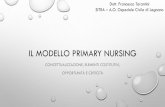 Primary Nursing - Tarantini