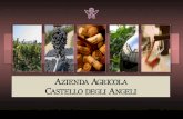 Az. Agricola Castello degli Angeli