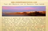 Tour operator marocco