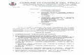 Consiglio Comunale - 20/03/2015 - Cividale
