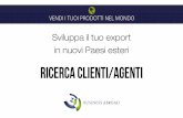 Ricerca Clienti/Agenti export