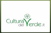 CulturaDelVerde.it, il portale a 360 gradi sul mondo del verde