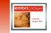 embriogyn babies