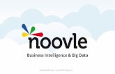 Noovle: Big Data & BI