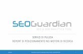 SEOGuardian - Report posizionamento nei motori di ricerca  - Servizi di pulizia