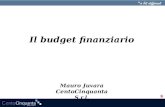 Budget finanziario