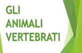 Gli animali vertebrati PDF