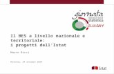 M. Ricci - Il BES a livello nazionale e territoriale: i progetti dell'Istat