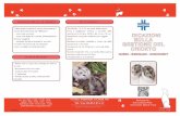 Informazioni criceto russo - Clinica Veterinaria Cinisello