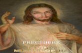 Le preghiere della divina misericordia  E-book 1