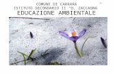 Carrara - Secondaria II Grado "D.ZACCAGNA'"