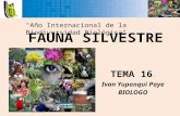 Zoologia Clase 16 - Fauna Silvestre