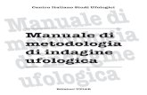 Manuale Metodologia Ufo CISU 2010