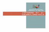 Info Granulometria V2.0