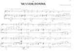 Classical Puccini Nessun Dorma