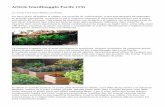 Article   Giardinaggio Facile (15)