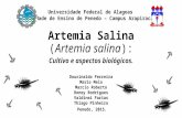 Artêmia Salina Novo