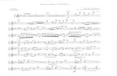 Piazzolla Primavera Portena - Solo Violin