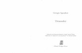 Agamben, Giorgio. Desnudez.pdf