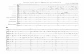 Monteverdi - Sonata Sopra Sancta Maria (s)