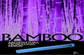 bamboo+-+collettivo+cerretini (1)