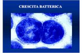 CAT Crescita Batterica 2 (2012) (Metabolismo, Riproduzione, Terreni)
