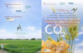 Convegno FinalCambiamenti climatici, produzione e qualità dei prodotti agricoli: il caso del frumento duroe 30-06-2014. Brochure
