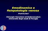 11 - Emodinamica e Fisiopatologia Venosa