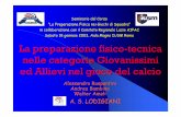 2004000486-Proposta Metodologica Di Preparazione Fisica Giovanissimi e Allievi Ruspantini 2
