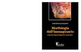 Gabriella Brusa-Zappellini - Morfologia dell'Immaginario. L’arte delle origini fra linguistica e neuroscienze. Ch. 3 - Iconografia dell'Invisibile