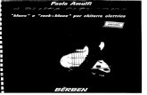 Paolo Amulfi - Il Blues Elettrico