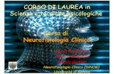 115--04 Sistema Nervoso e Corteccia Cerebrale 2011