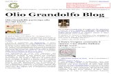 Olio Grandolfo Magazine  Marzo 2014
