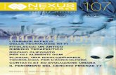 Nexus New Times 107