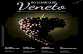 Sommelier Veneto n.  1-2014
