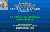 09_Dr. v. Carbonaro - Terapia Medica - Fase Acuta - Relazione