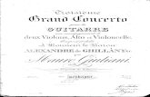 Giuliani Op 70 Terzo Concerto (Guit)