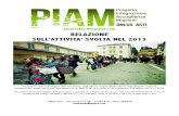 Relazione PIAM 2013