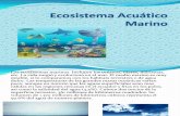 Ecosistema Acuático Marino