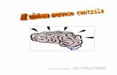 [ebook - ita - università - Napoli - Medicina - 01 01 - ANATOMIA] Sistema nervoso centrale