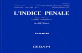 Art Indice Penale_Diana Restrepo