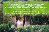 Bioenergetic Landscapes 2014