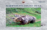 Rapporto Orso 2013 Provincia di Trento