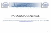 Patologia  Generale Infiammazione_Meola_