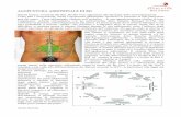 agopuntura_addominalebo (abdominal acupuncture according professor Bo)