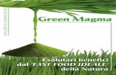 Green Magma Salutebio