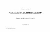 Dossier Caldaie a Biomassa